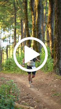 BIB:  <button type="button" onclick="openModal(27293374)" class="btn btn-primary btn-sm float-right" data-toggle="modal" data-target=".modal-high-quality">
                <i class="fa fa-download"></i> Download
                </button>